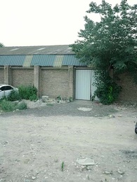 مجموعة التنين: أسرار العزة والولاء - Episode 56