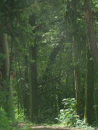 Episode 56 - Always The Protector