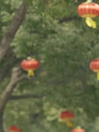 Destined for Greatness - Episode 115