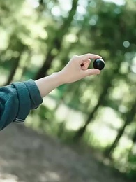 第33話 - 人妖決戦：護城大陣の危機