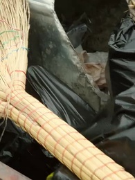 Episodio 1 - El Hijo Indigno