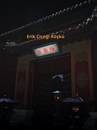 Sarayın Gizli Oyunu - Episode 20