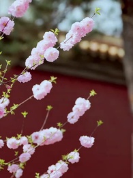 Pengkhianatan Negara Segara - Episode 7