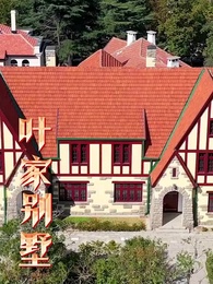 霸道女總裁的超級尊王 - Episode 25