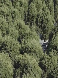 第63集 - 離婚後賴上女總裁