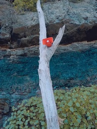 Kaçış Yok: Fetih Adası - Episode 47