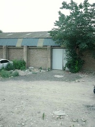 Episódio 56 - Faxineira Bilionária: Filho Adotivo Traidor