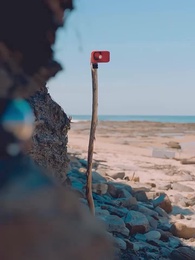 Bölüm 9 - Kaçış Yok: Fetih Adası