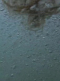 Kaçış Yok: Fetih Adası - Episode 76