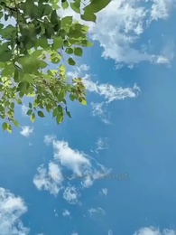 Episode 89 - Tödliche Verstrickungen