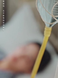 第12集 - 只願海棠依舊