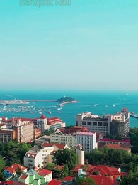 Episode 31 - Dear Miss Lawyer