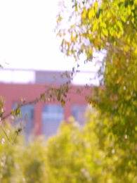 第78集 - 回到爸媽19歲