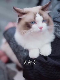 棄妃天機謀 - Episode 20