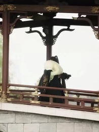 ข้าถูกทรราชตามตื๊อรัก - Episode 45