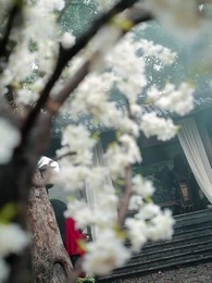 塵緣了卻時 - Episode 41