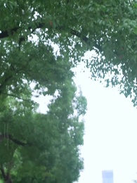 第87集 - 閃婚老公是首富