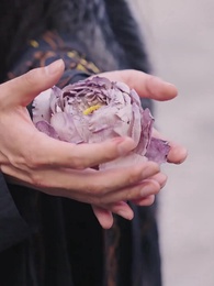 Episodio 53 - El Renacer del Fénix