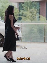 Episodio 26 - [Doppiato]Tesoro, Sto per Sposarmi