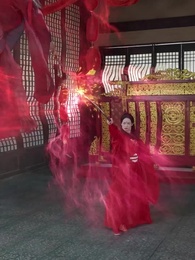 Il Ritorno della Fenice - Episode 11