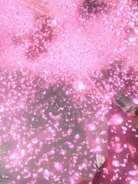 Il Ritorno della Fenice - Episode 12