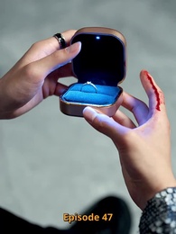 Episodio 47 - [Doppiato]Tesoro, Sto per Sposarmi