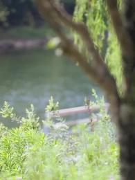 豪門爭霸 - Episode 14