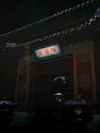 20화 - 구중궁궐: 서녀의 반격