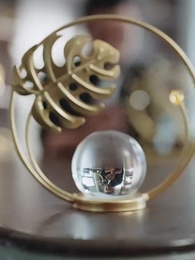 第65集 - 破產老闆合租請指教