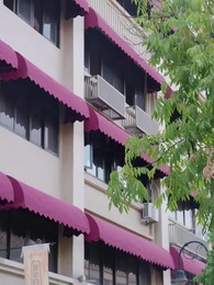 第84集 - 夫人壹身反骨,愛給楚總添堵