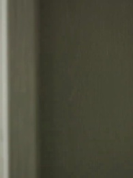 Episódio 12 - Quando o Caso Vira Afeto