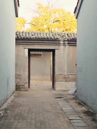 Rise of the Thunder God - Episode 76