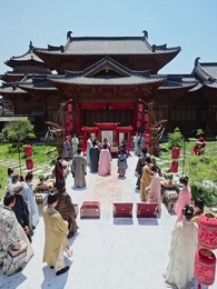 Episodio 24 - La Fenice degli Umili