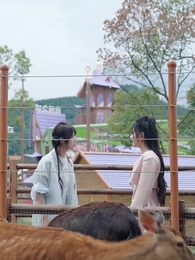 七夕渡紅塵 - Episode 18