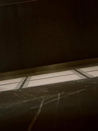 L' Héritier ingrat - Episode 12