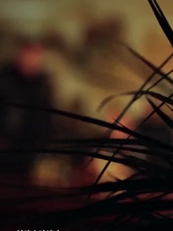 의좋은 형제 - Episode 26