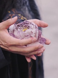 Le Chant du Phénix - Episode 53