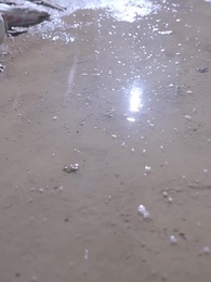 七夕渡紅塵 - Episode 36