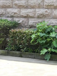 ตำหนักราชามังกร - Episode 79