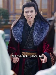 Épisode 25 - Le Chant du Phénix