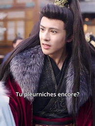 Épisode 28 - Le Chant du Phénix