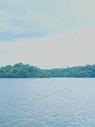 第5集 - 七夕渡紅塵