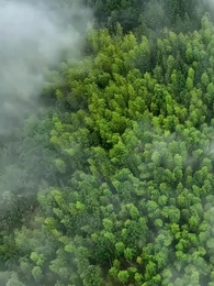 第90集 - 陰陽快遞小哥