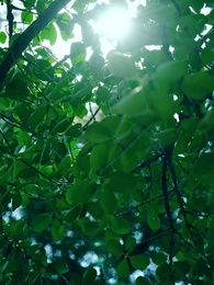 第67集 - 重新活壹次