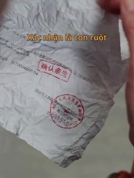 Tập 21 - [Lồng tiếng]Định Mệnh Tái Ngộ