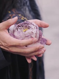 O Canto da Fênix - Episode 53