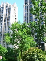 第5集 - 重新活壹次