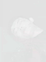 Le Général Divorce, Le Tyran la Vole - Episode 77