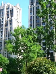 第49集 - 重新活壹次