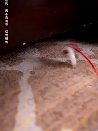 相逢時節月正圓 - Episode 7